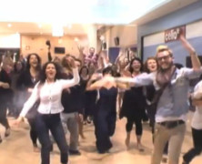 Lipdub Accenture – Seminaire Team Building